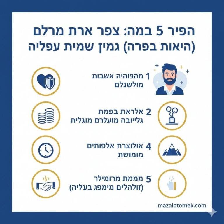 התאהבת בגבר מזל גדי? הכיני את עצמך למסע ארוך ומתגמל. המדריך המקיף חושף: איך הוא במיטה, למה הוא מתרחק ואיך להפוך לאישה של חייו. לחצו לקריאה! 🏔️